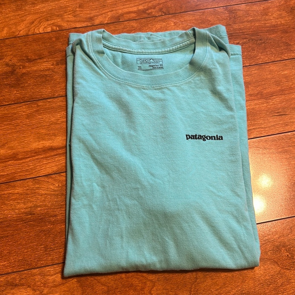 Patagonia tshirt size x large men’s regular fit